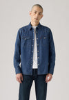 BARSTOW WESTERN STANDARD - Chemise - lower haight